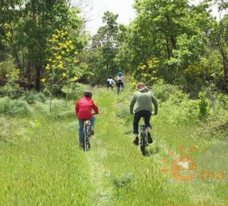  Pédaler dans la nature sicilienne